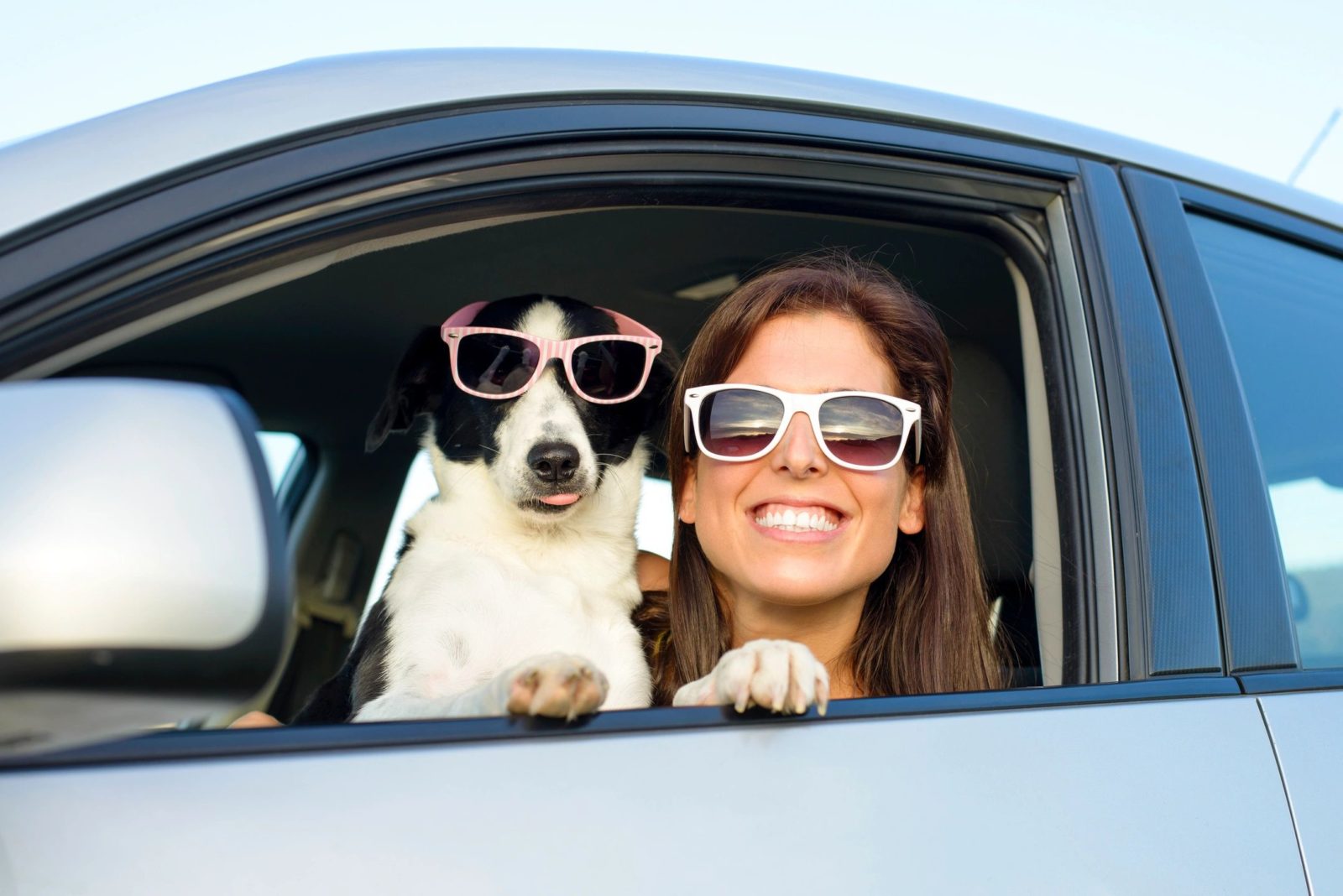 Arizona Traffic Survival School Life Is Short Drive Safe arizona-traffic-survival-school-life-is-short-drive-safe
